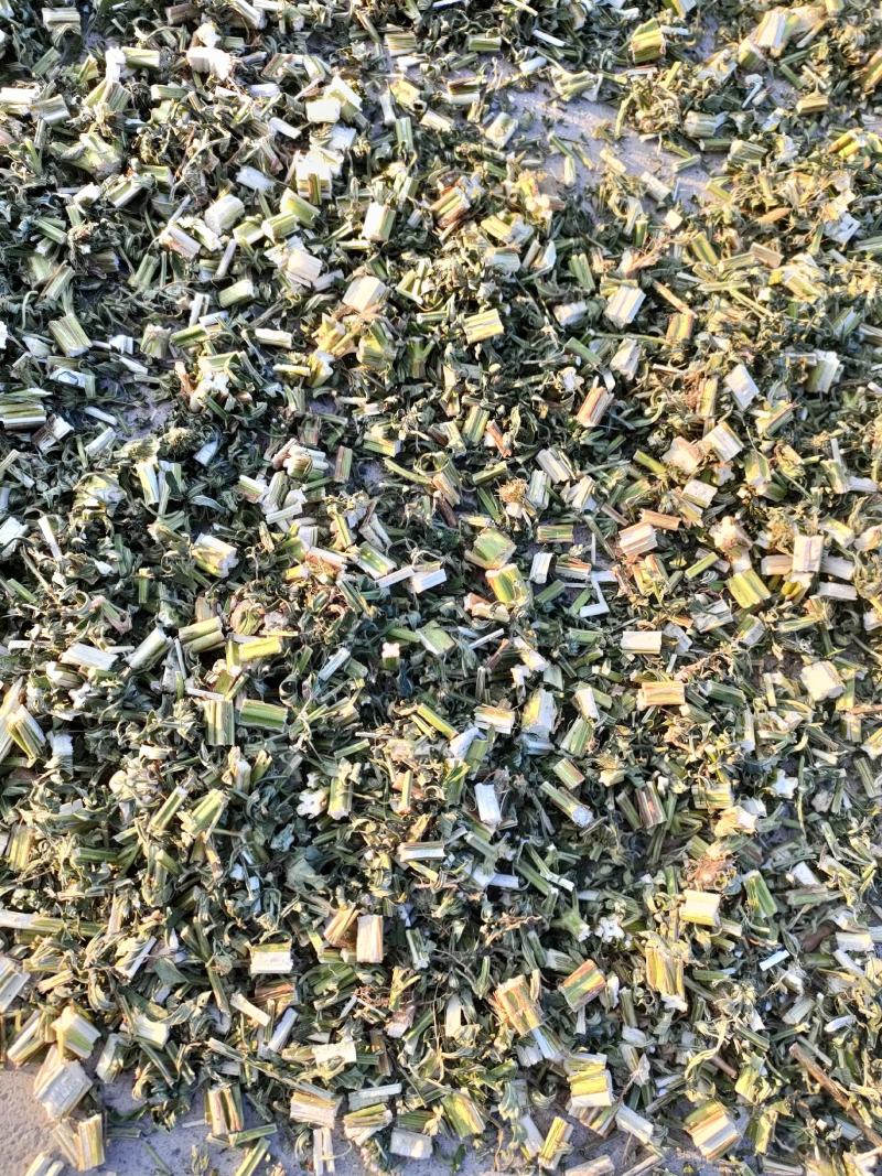 益母草山东省菏泽市鄄城中药材市场，一手货源充足