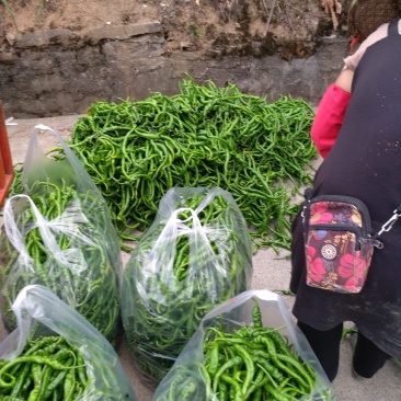量大，能长期供货。