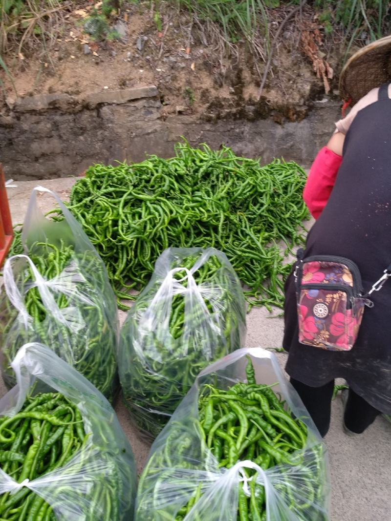 量大，能长期供货。