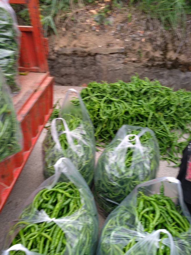 量大，能长期供货。