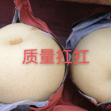 黄冠梨