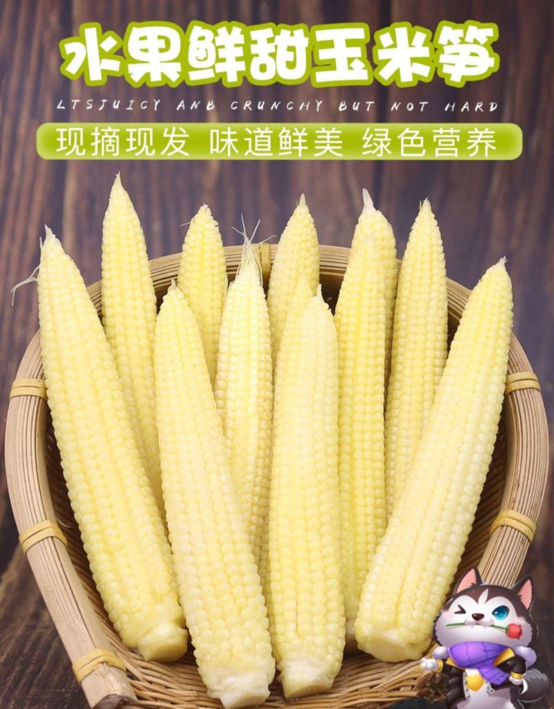 新鲜现摘小玉米笋嫩水果玉米宝宝辅食餐馆高蔬菜食材包邮。