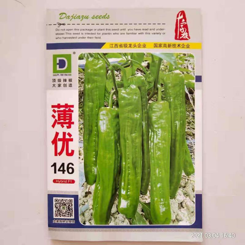 薄优146薄皮椒种子大家族品种高端薄皮泡椒品种杂交一代