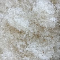 精品大龙须短龙须龙须头