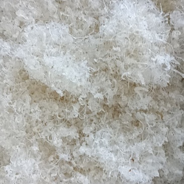 精品大龙须短龙须龙须头
