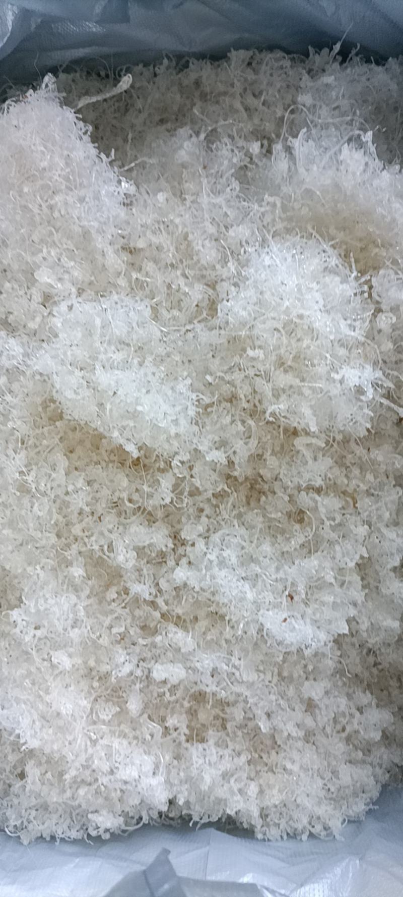 精品大龙须短龙须龙须头