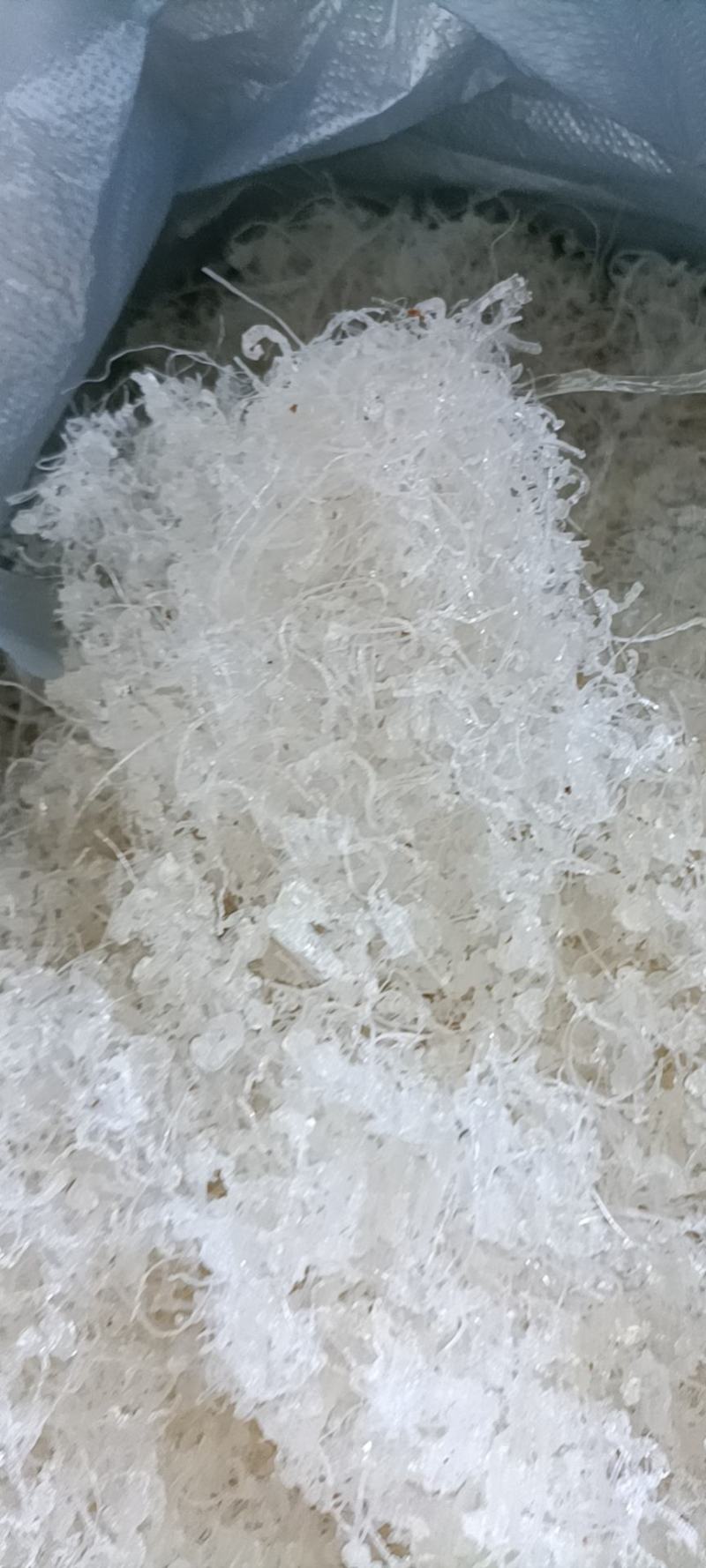 精品大龙须短龙须龙须头