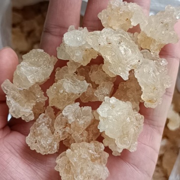 雪燕a货
