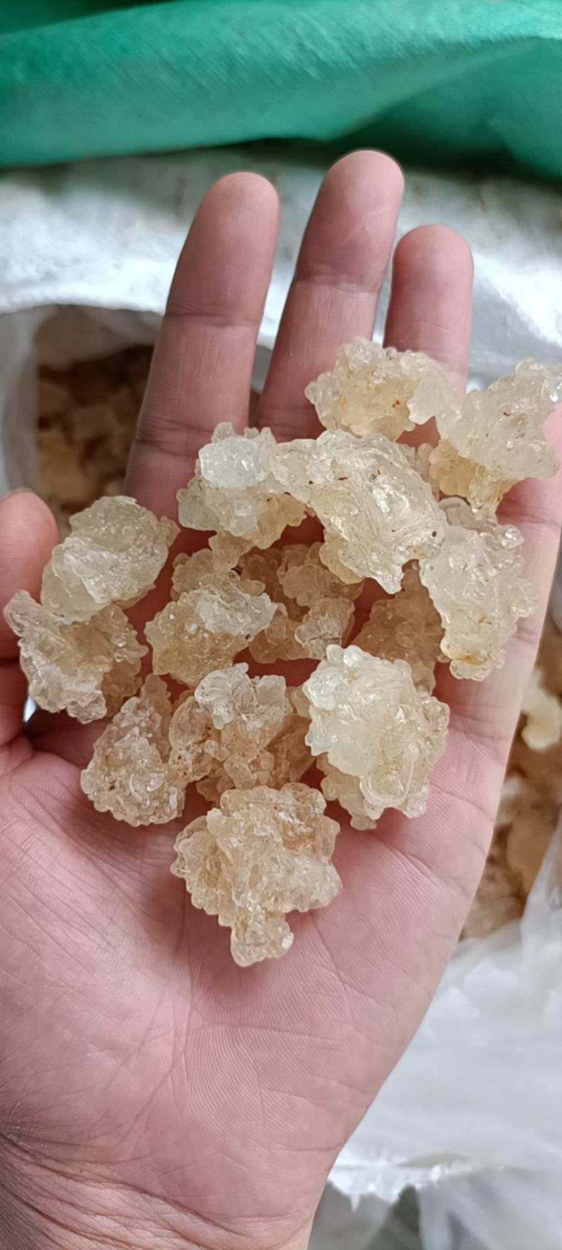 雪燕a货