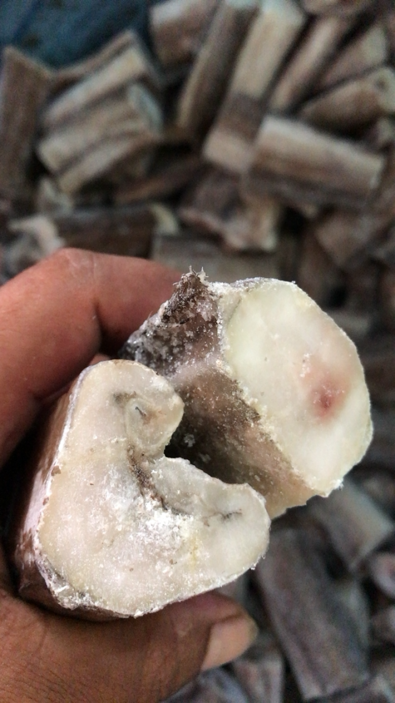 新鲜冷冻鳗鱼段无冰衣海鳗鱼段不包运费