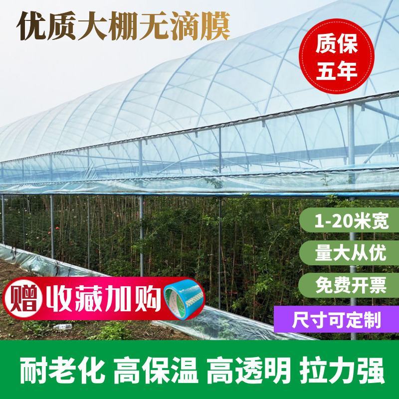 专业生产规格规格养猪大棚全套结实耐用包建全国发货