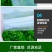 防虫网养猪场防蚊网农用大棚蔬菜加厚防蚊防虫网养殖场专用