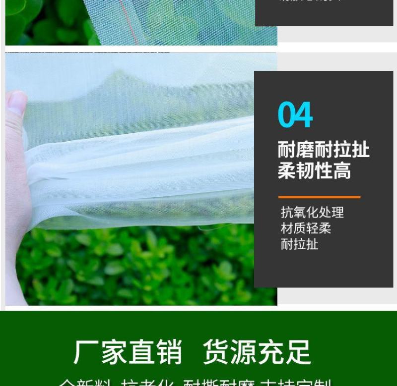 防虫网养猪场防蚊网农用大棚蔬菜加厚防蚊防虫网养殖场专用