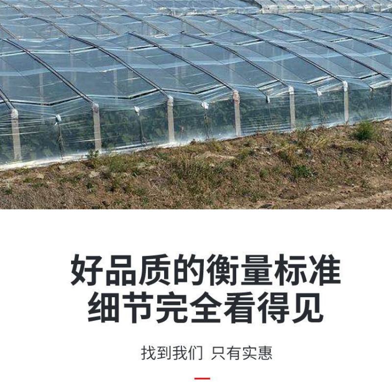 防虫网养猪场防蚊网农用大棚蔬菜加厚防蚊防虫网养殖场专用