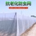 防虫网养猪场防蚊网农用大棚蔬菜加厚防蚊防虫网养殖场专用