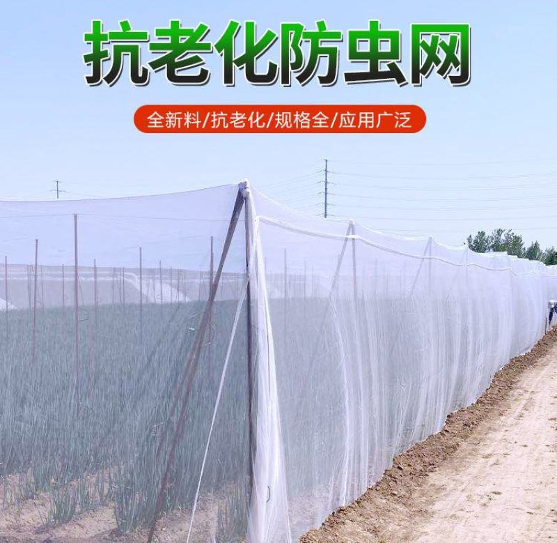 防虫网养猪场防蚊网农用大棚蔬菜加厚防蚊防虫网养殖场专用