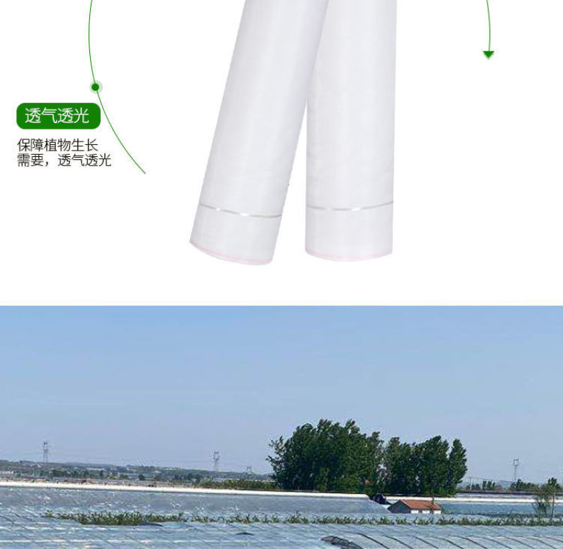 防虫网养猪场防蚊网农用大棚蔬菜加厚防蚊防虫网养殖场专用