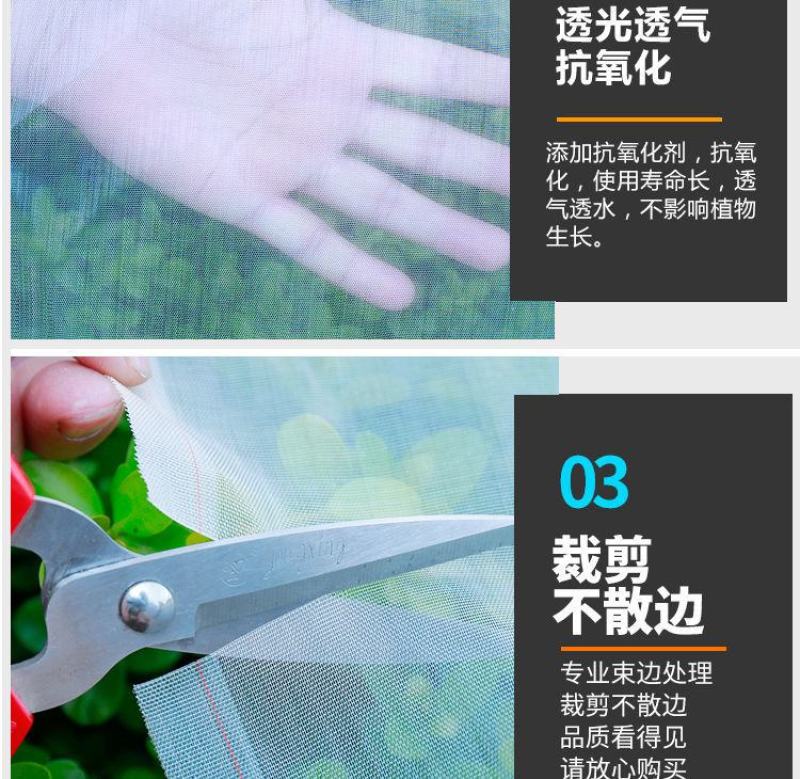 防虫网养猪场防蚊网农用大棚蔬菜加厚防蚊防虫网养殖场专用
