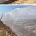 防虫网养猪场防蚊网农用大棚蔬菜加厚防蚊防虫网养殖场专用