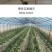 防虫网养猪场防蚊网农用大棚蔬菜加厚防蚊防虫网养殖场专用