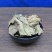 包邮龙利叶龙俐叶龙脷叶500克冷背中药材批发