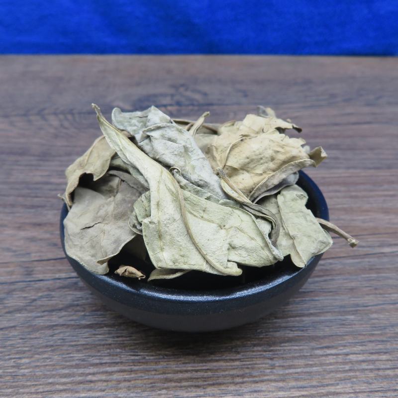 包邮龙利叶龙俐叶龙脷叶500克冷背中药材批发