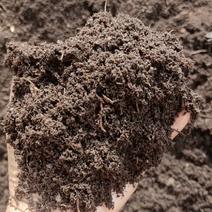 （基地直供）大量优质泥炭土，营养土，泥炭土栽培基质