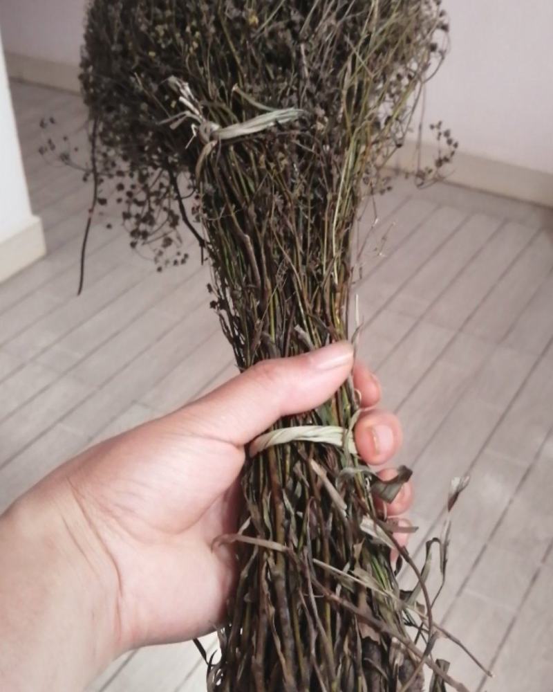 无硫南柴胡滇柴胡云柴胡野生柴胡新货云南雅诺生物雪上小草