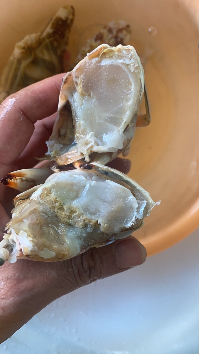 北海红花蟹品质保证价格**，全国各地可发货