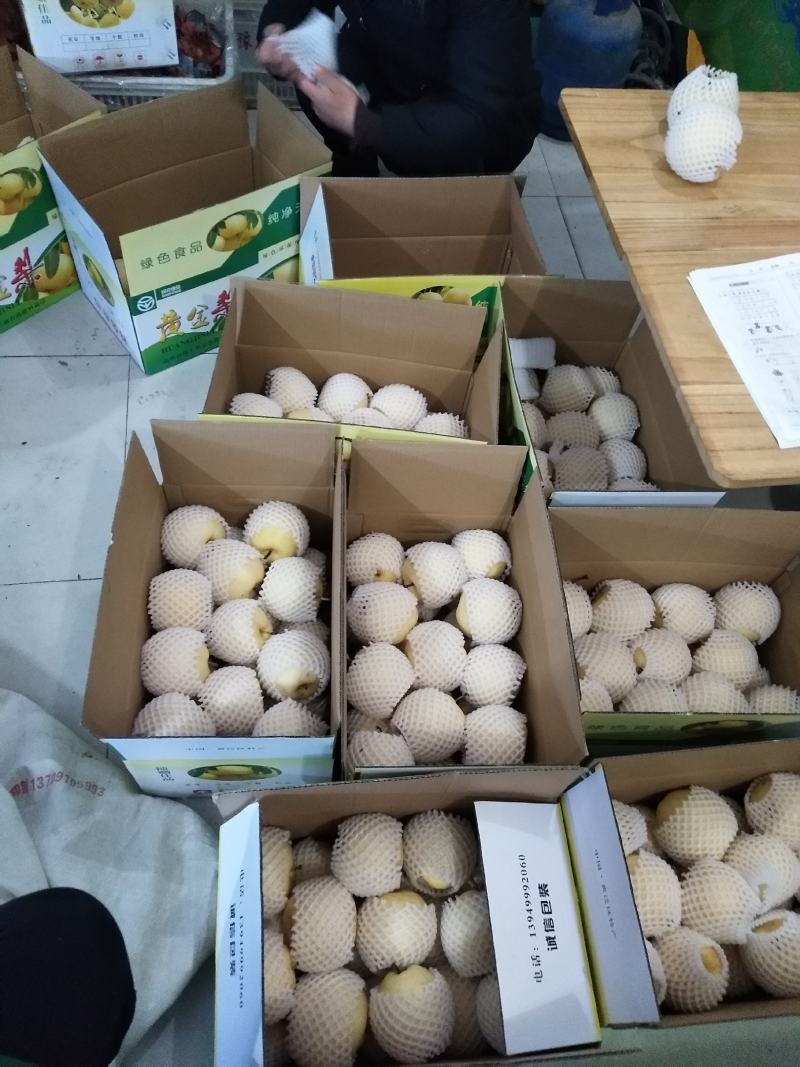 万亩黄金梨基地，量大从优