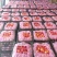 精品红太苹沙果月底上市