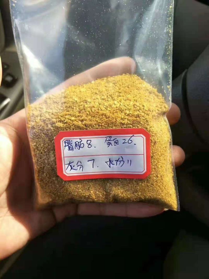 厂家直销玉米酒糟DDGS现货营养价值高玉米酒糟