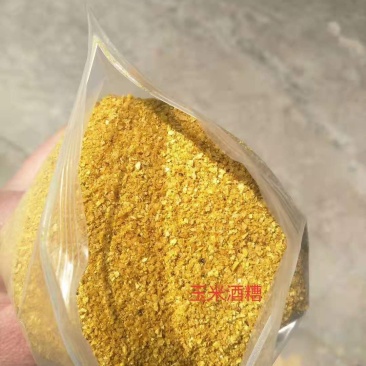 厂家直销玉米酒糟DDGS现货营养价值高玉米酒糟