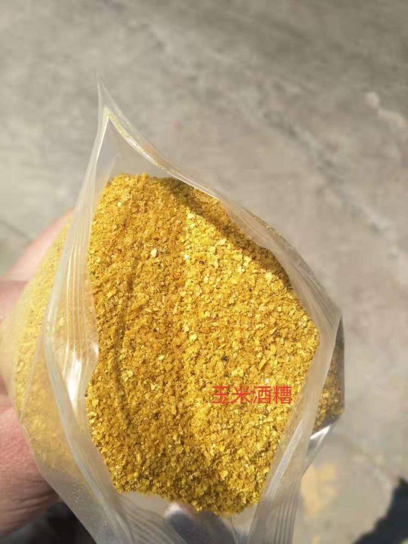 厂家直销玉米酒糟DDGS现货营养价值高玉米酒糟