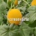 玉菇甜瓜，口感蜜甜，大量供应市场，电商，团购包质量代发全