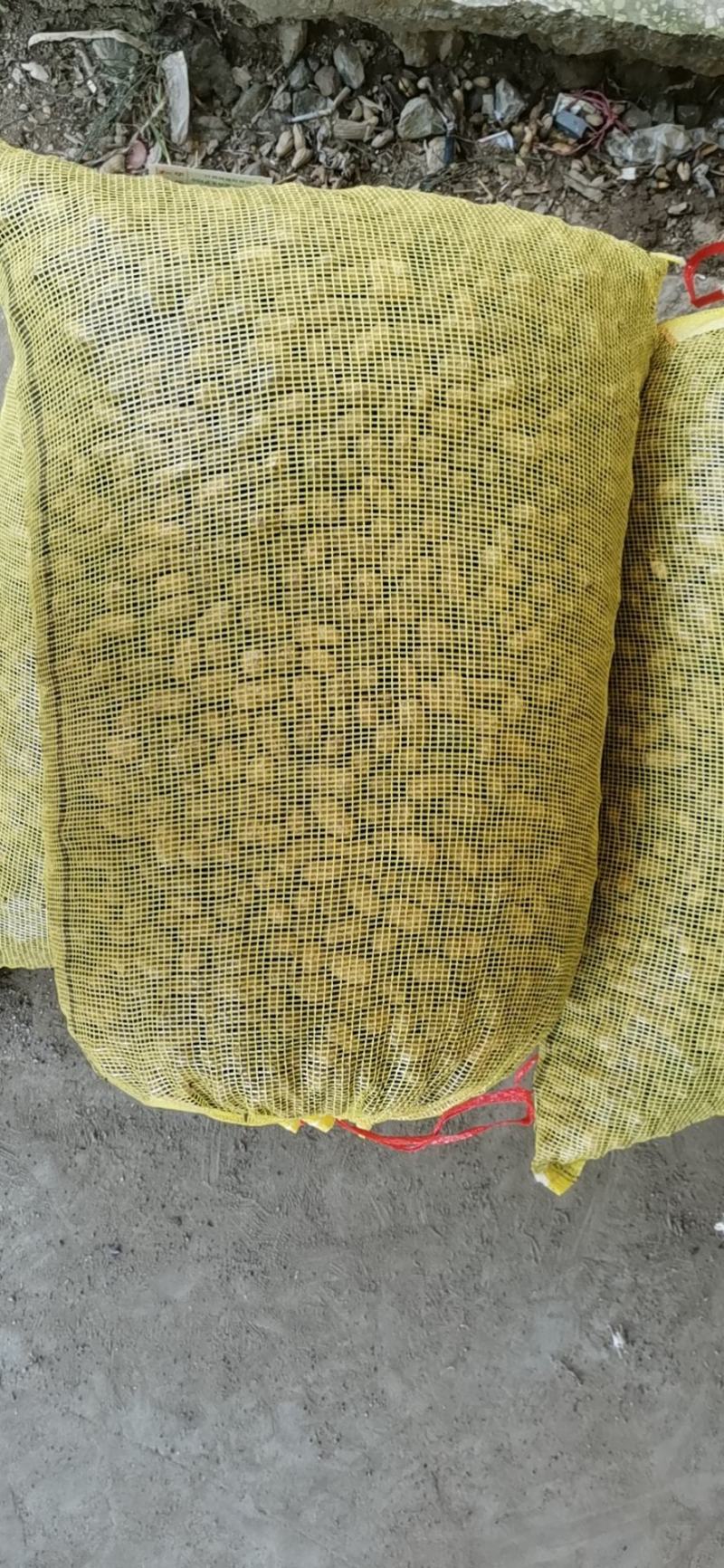 鲜果花生，中花系列，产地直销。电商超市优选