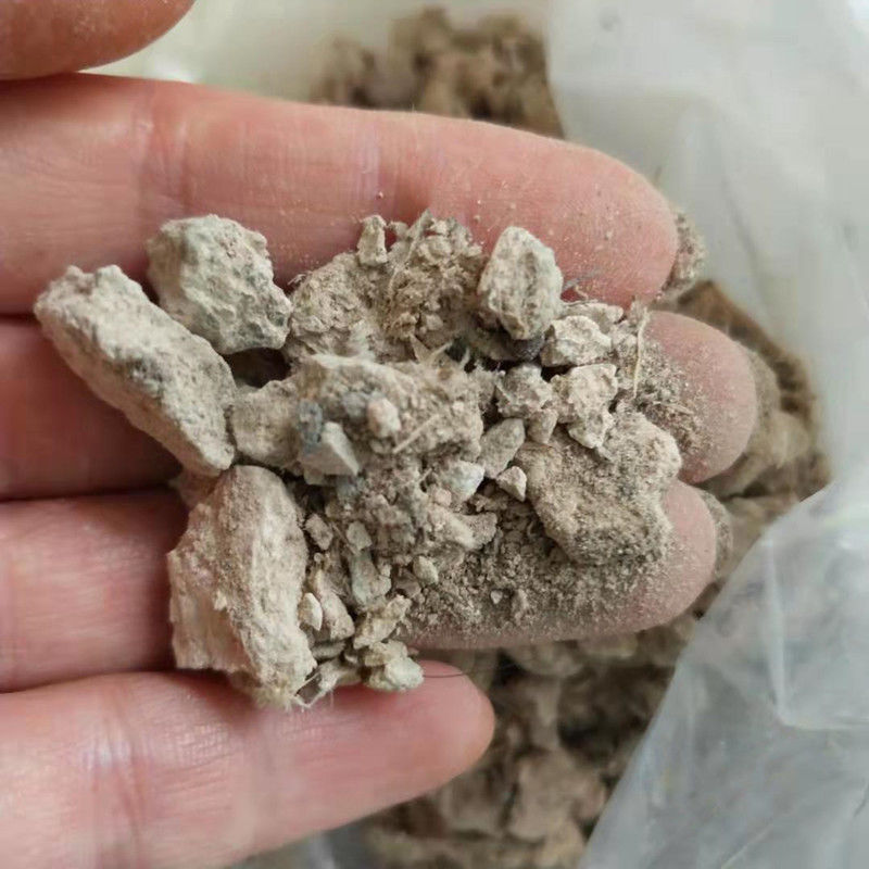 中药材鹰条白鹰屎白白鹰粪粉玉容散材料500克