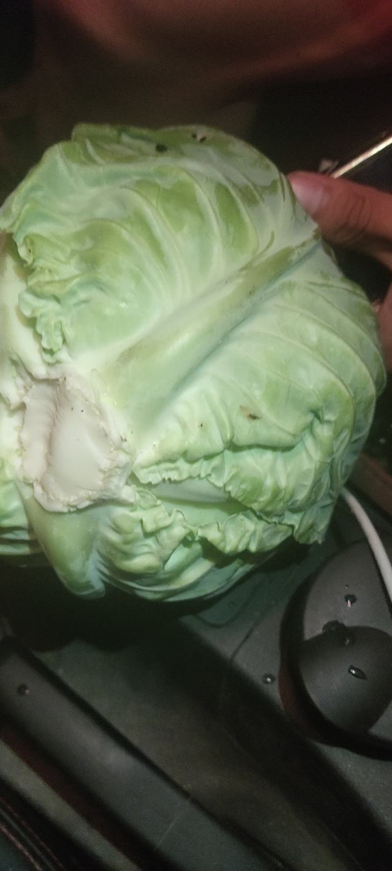 精品甘蓝大量有货需要的联系，产地直销大量有货。