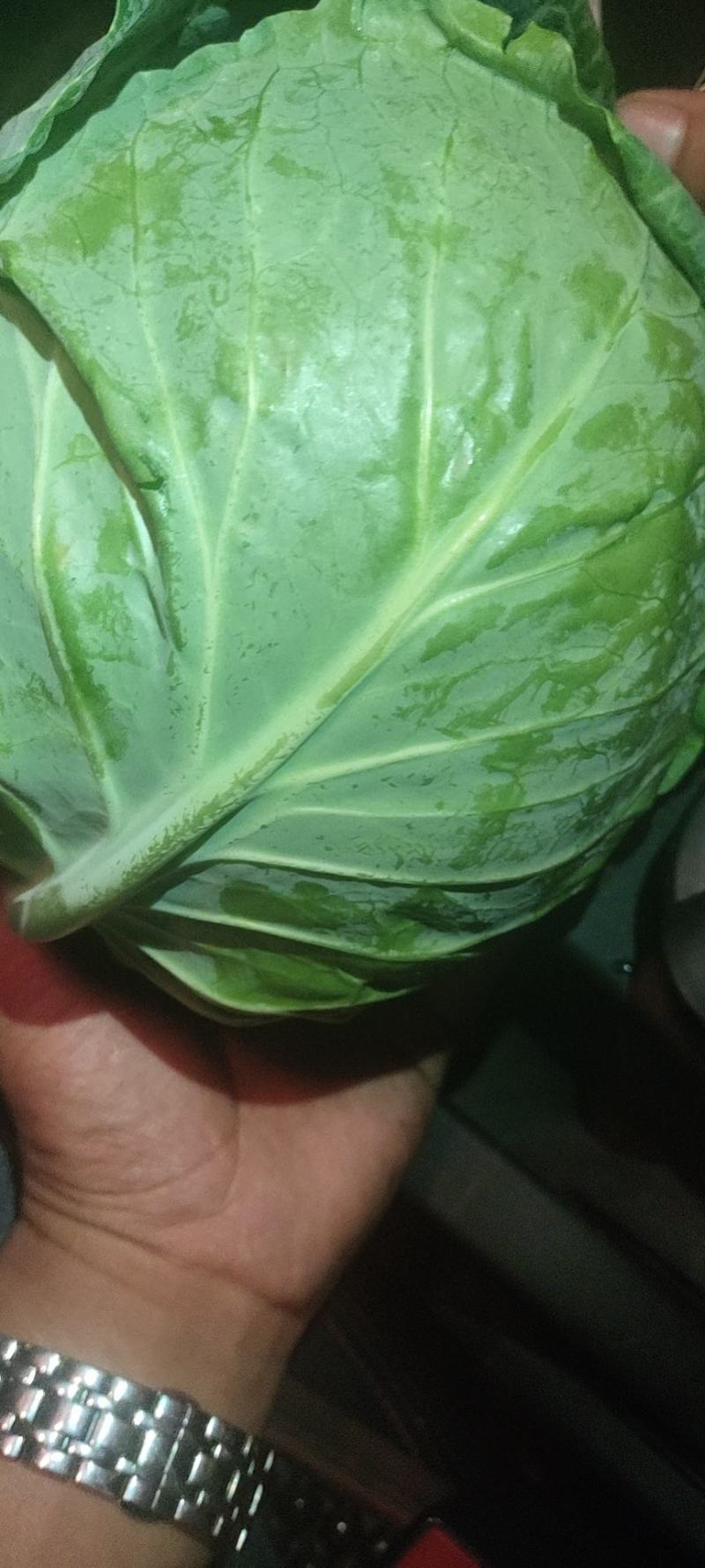 精品甘蓝大量有货需要的联系，产地直销大量有货。