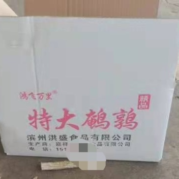 放血鹌鹑3两左右，新品牌，招空白区域代理