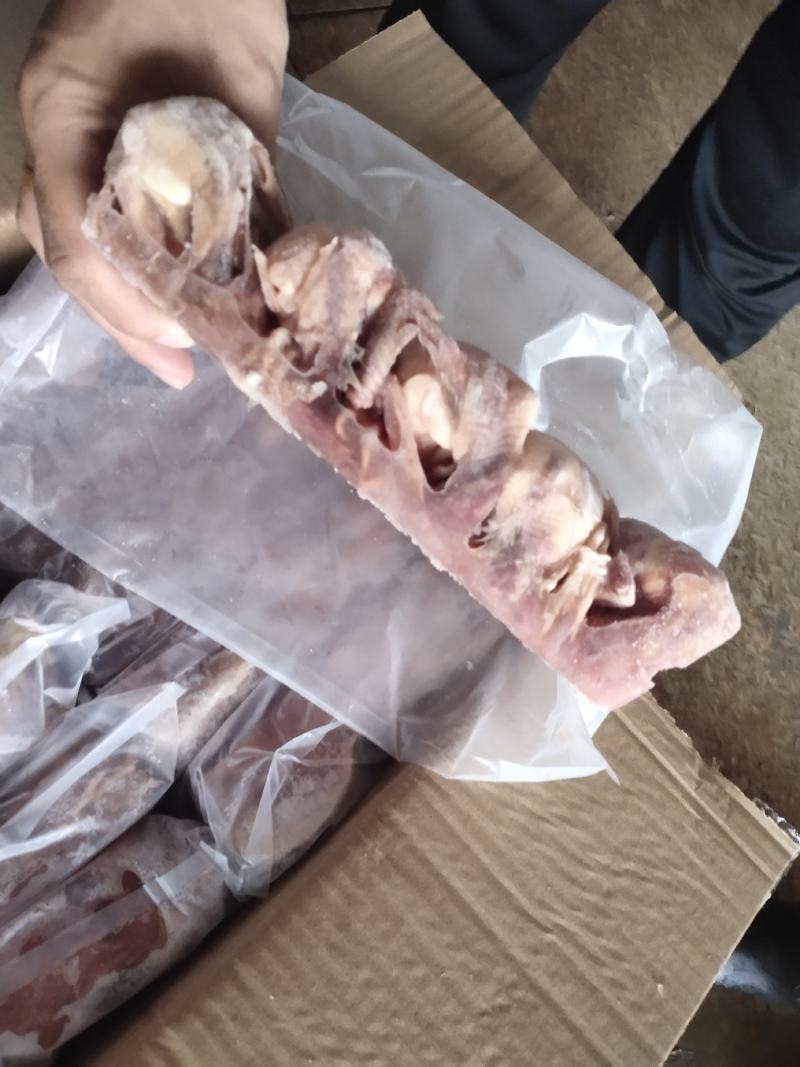 放血鹌鹑3两左右，新品牌，招空白区域代理
