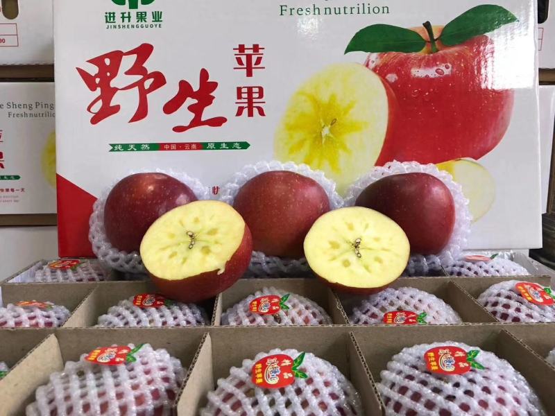 【好货】云南昭通野生红富士冰糖心苹果一件代发【产地代办】