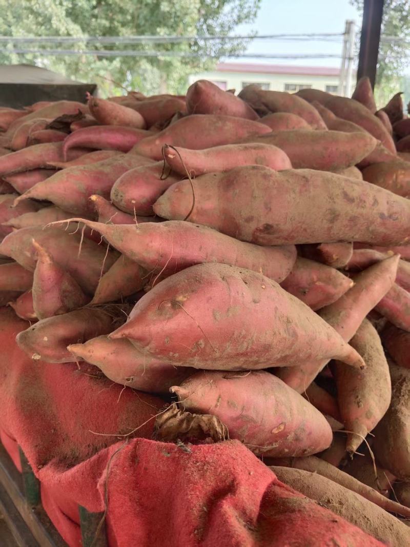 开封沙土地精品西瓜红，超市，电商，美团，一线城市主发