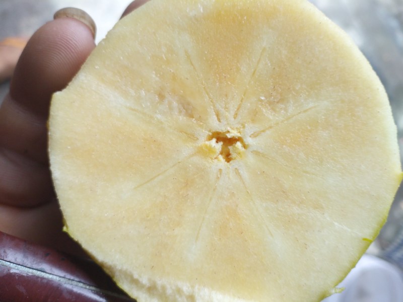 热带水果