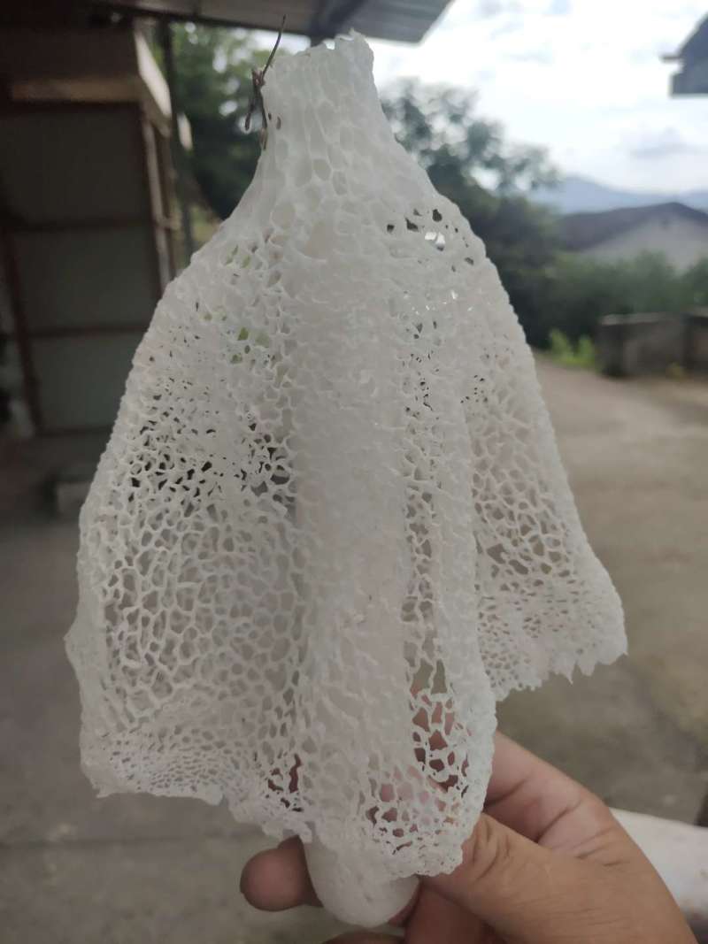 竹荪竹笙福建特产食用菌干货酒店食材煲汤，一包毛重半斤