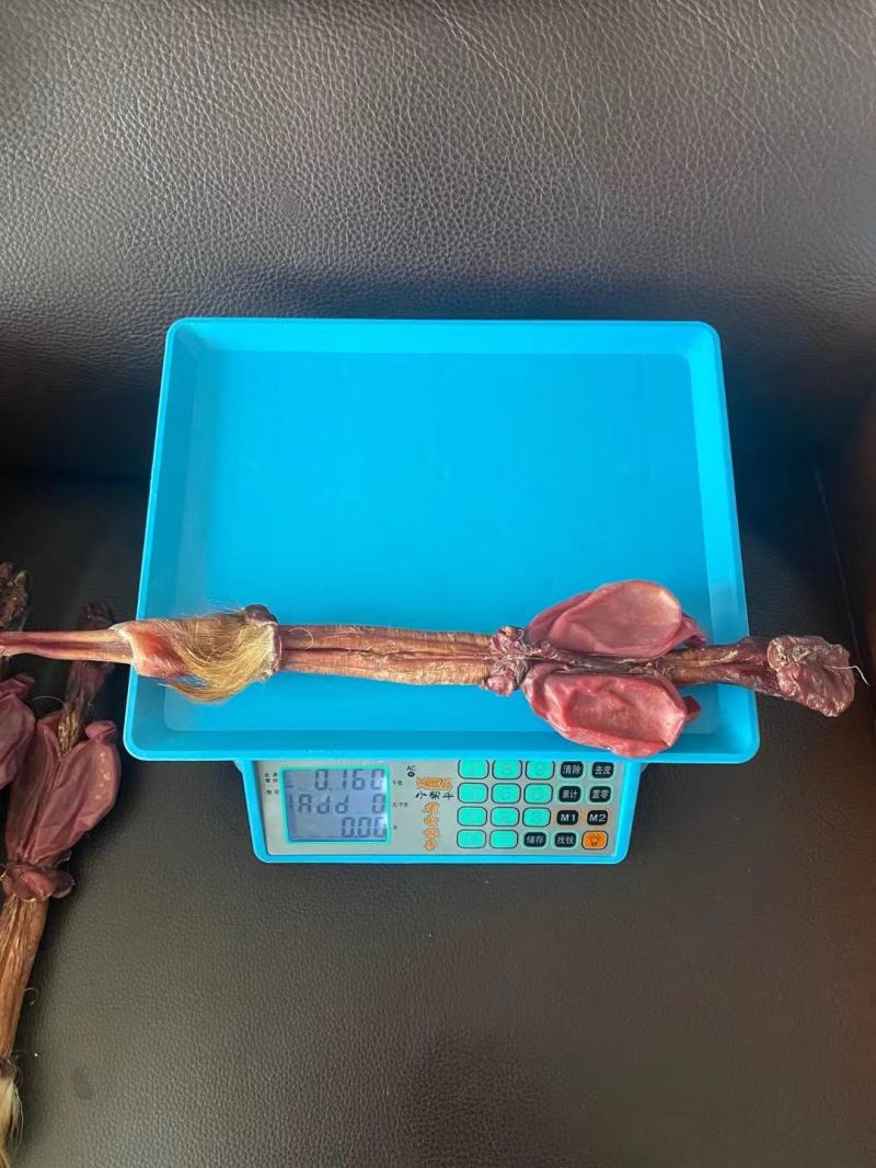 老御头正宗大种鹿鹿鞭160克左右/支大种鹿鞭正宗假一赔万