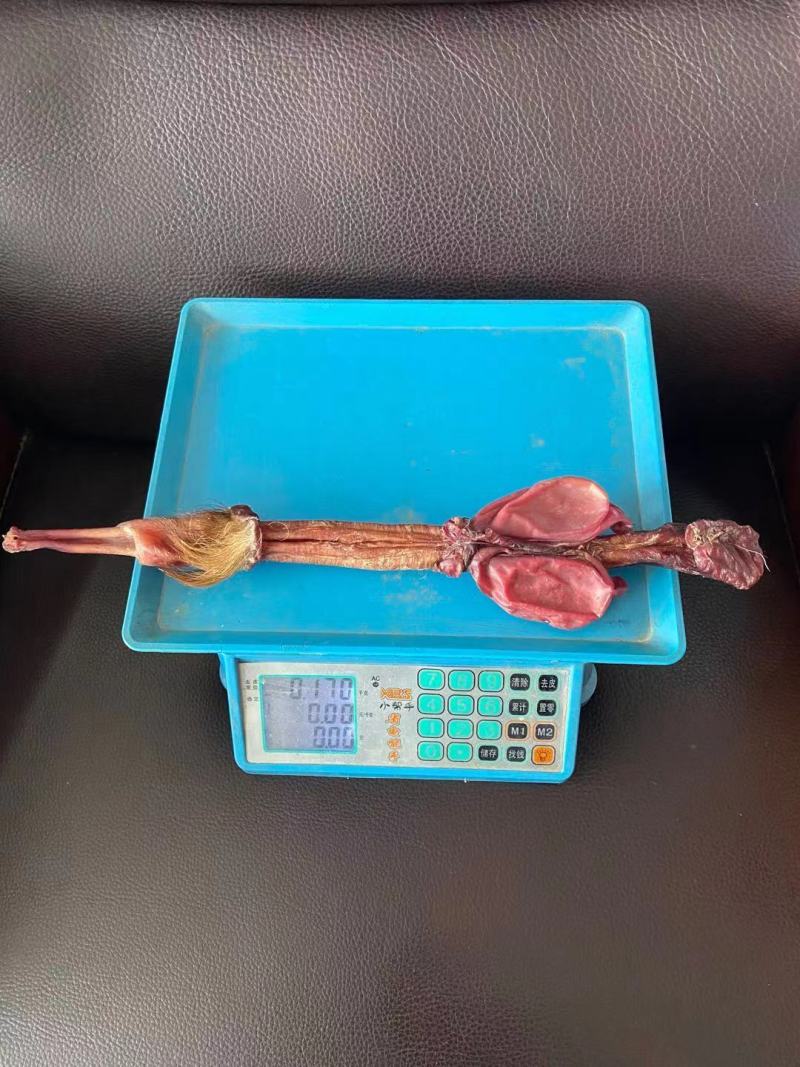 老御头正宗大种鹿鹿鞭160克左右/支大种鹿鞭正宗假一赔万