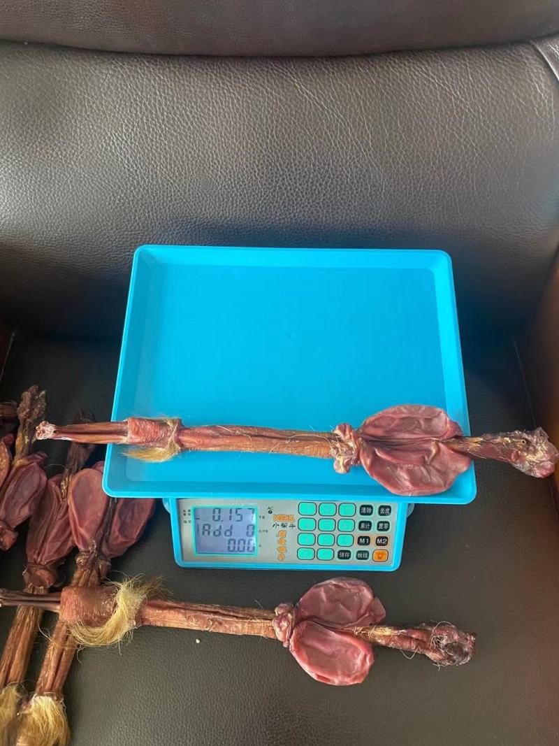 老御头正宗大种鹿鹿鞭160克左右/支大种鹿鞭正宗假一赔万