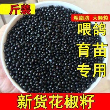 陇南花椒籽喂鸟泡脚育苗原产地一手货源全国直发