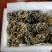 云南禄丰中村叽拉培养山精品干巴菌,支持电商.微商.淘宝…